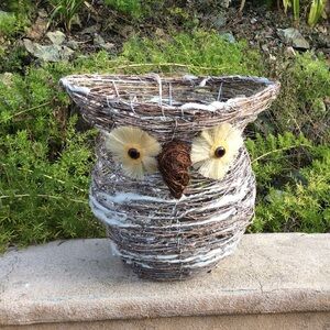 Holiday Owl lights decor